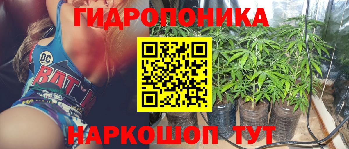 МАРИХУАНА ГИДРОПОН Нефтекумск